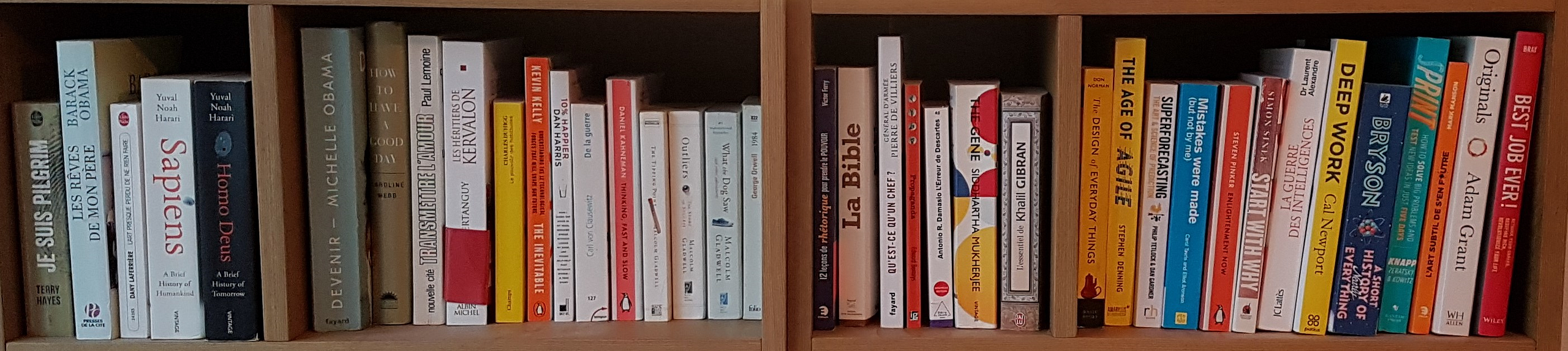 Le premier étage de ma bibliothèque